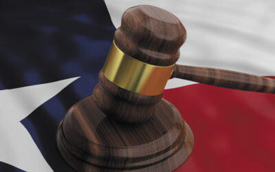 The Dog Caught the Car