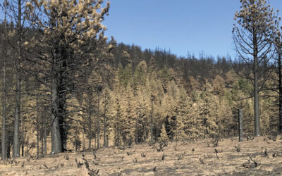 Population-Based Fire Planning