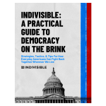 Indivisible Guide Thumbnail