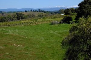 El Dorado County Democrats New Website - Sierra Foothills Banner