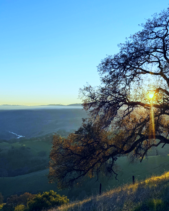 El Dorado County Democratic Party Hero Image - cool-vertical