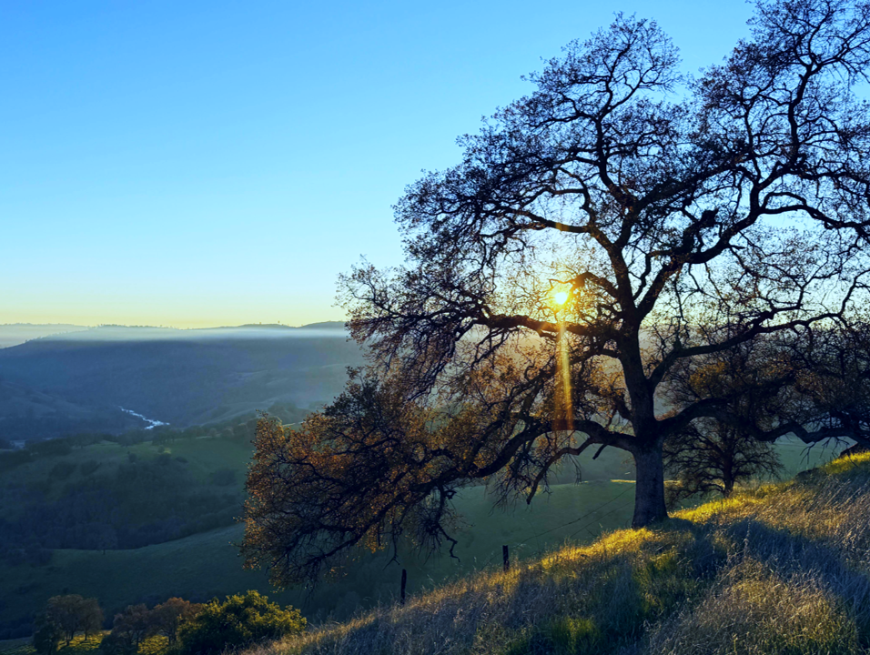 El Dorado County Democratic Party Hero Image - cool