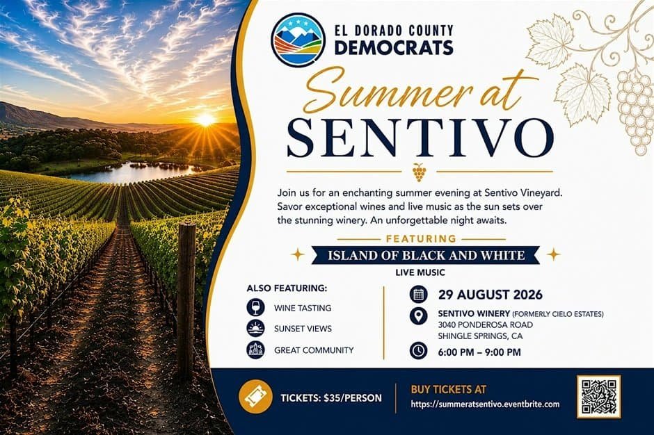 Summer at Sentivo EDC Dems